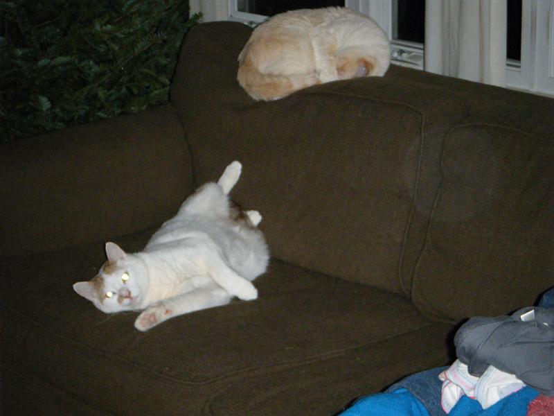 christmas2009 287.jpg